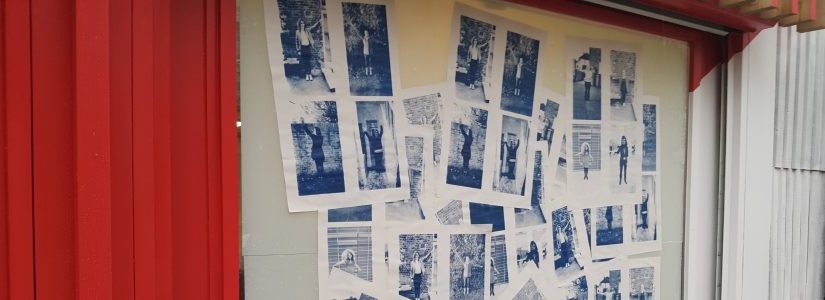 January 2017 First&nbsp;Update!